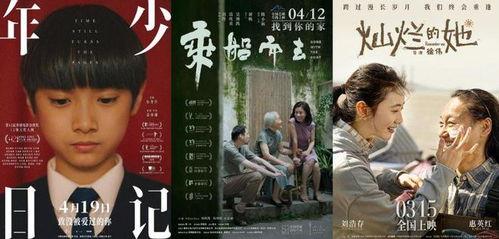 理论片国产,理论视角下的中国发展新篇章